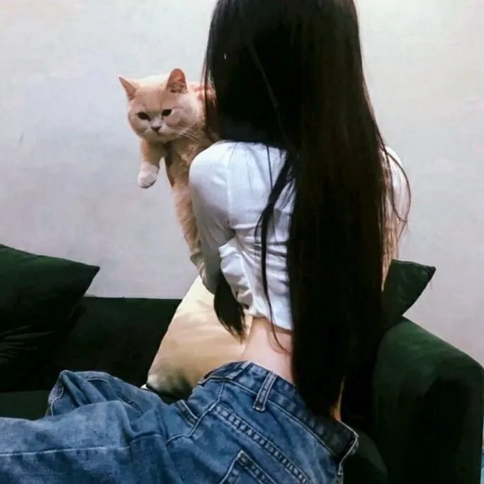 情迷佳人