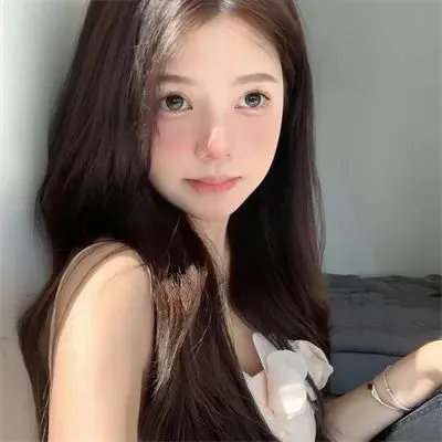 拜访森林
